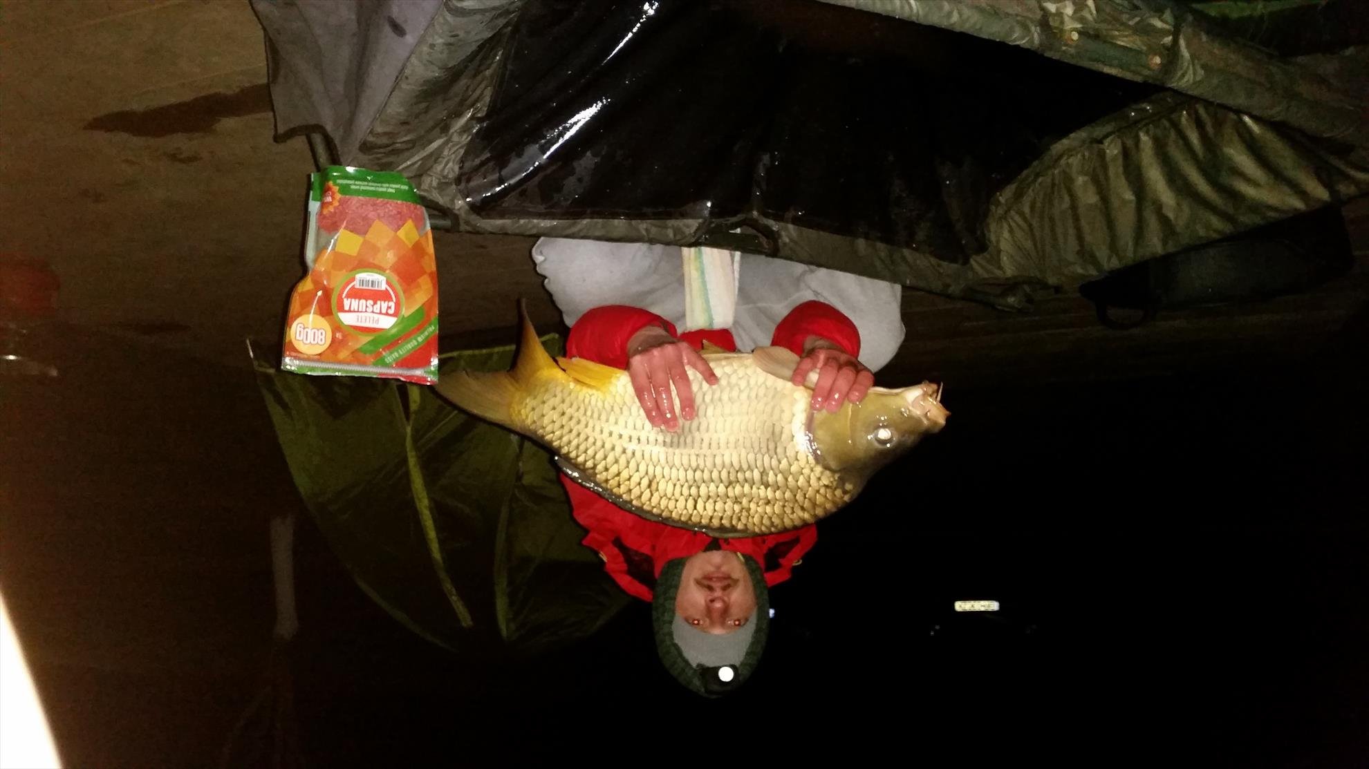 Moara Vlasiei 2 16 - 18 martie 2016 - 20160317230803.jpg